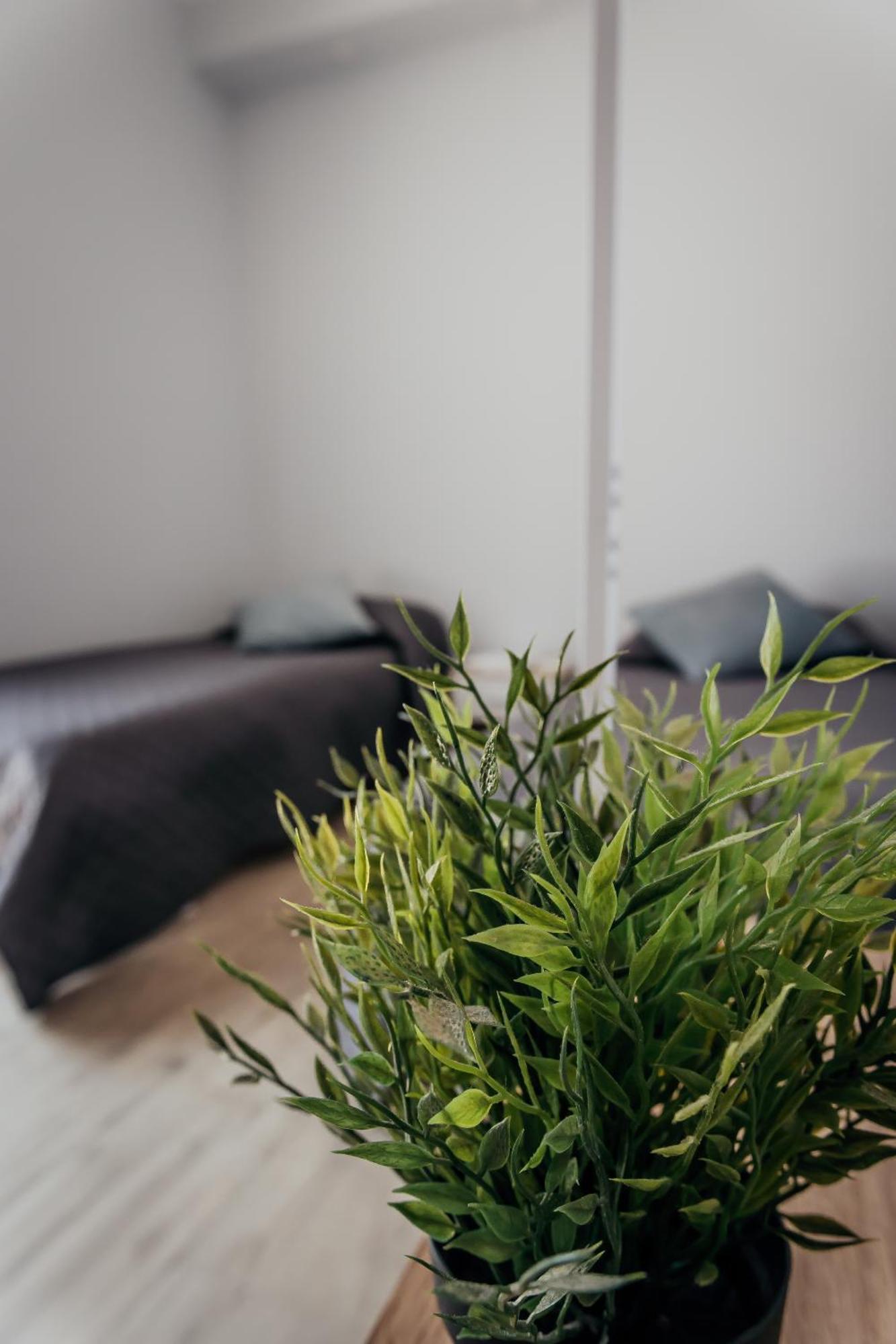 Fcoairporthouse Apartment Fiumicino Bagian luar foto
